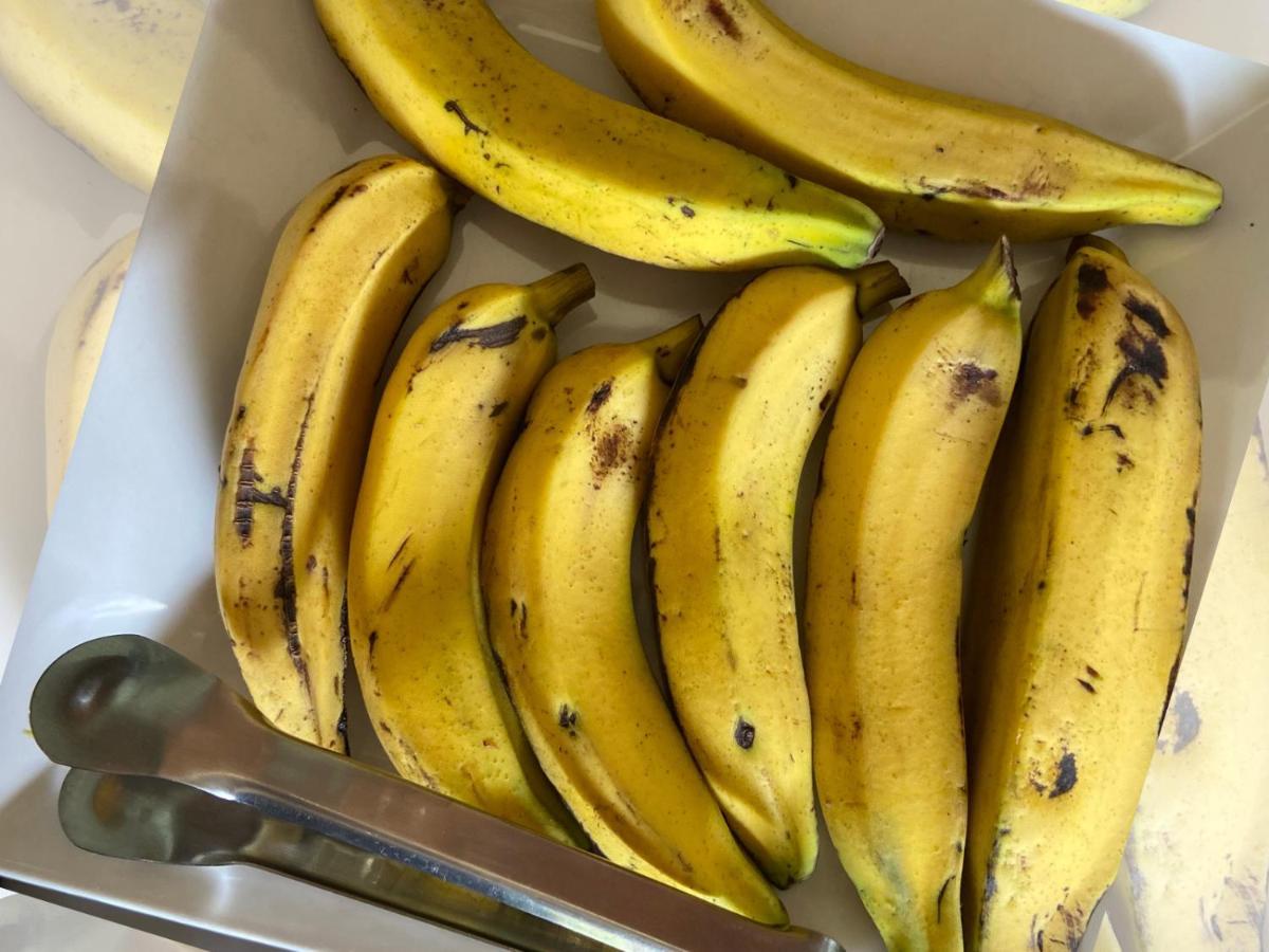Pousada Ricatins Ngoại thất bức ảnh